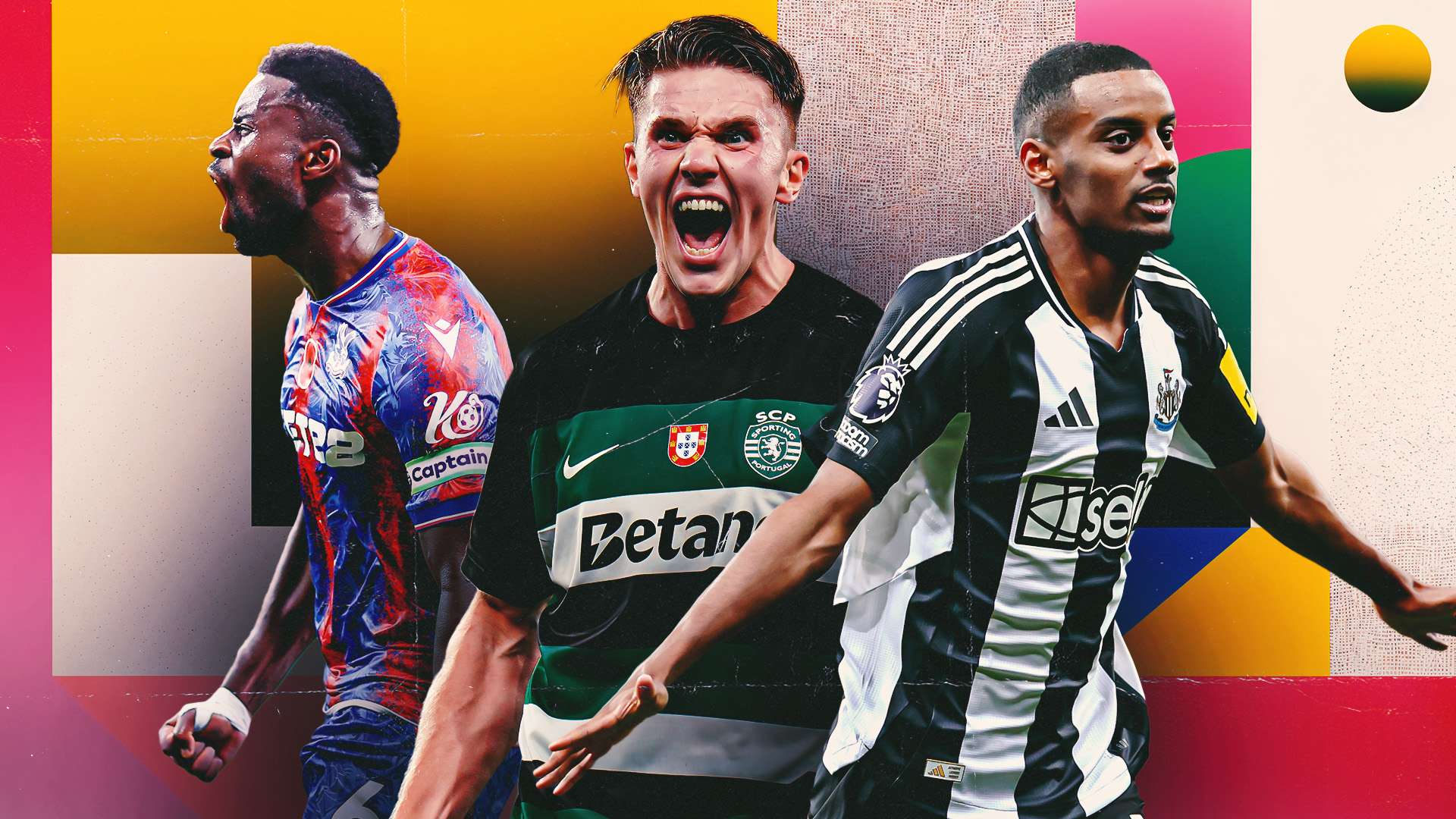 仅展示了贝 仅展示了贝